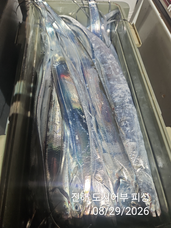 KakaoTalk_20260829_050630697_15.jpg
