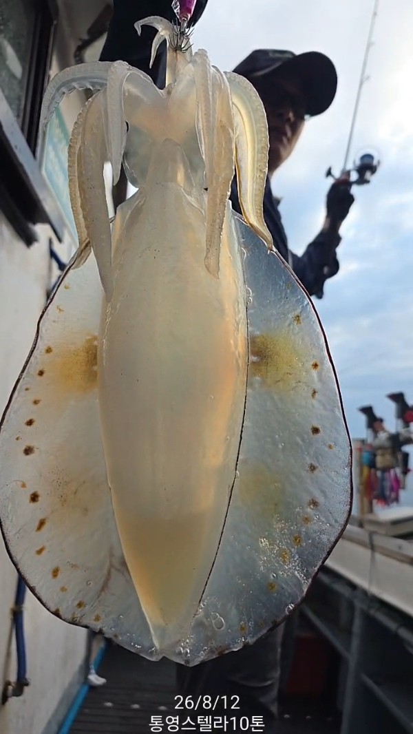 TimeVideo_20260812_182401.jpg