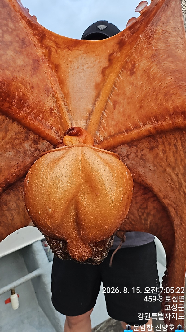 1000020763.jpg