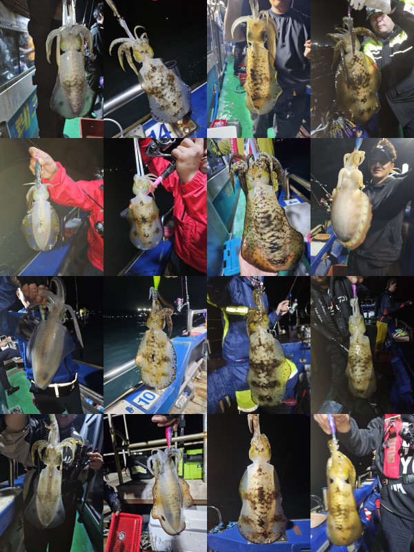 KakaoTalk_20260811_111016248_20-vert-horz.jpg