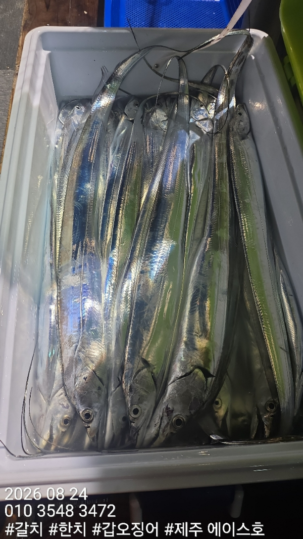 KakaoTalk_20260824_173851509_07.jpg