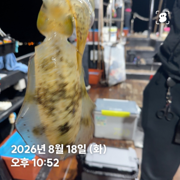 신신낚시 강구점 신신호_사진_20260819_18.jpg