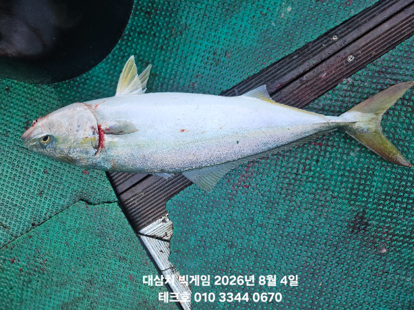 KakaoTalk_20260804_103638564_06.jpg