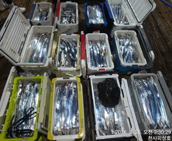 1004피싱_사진_20260826_1.jpg