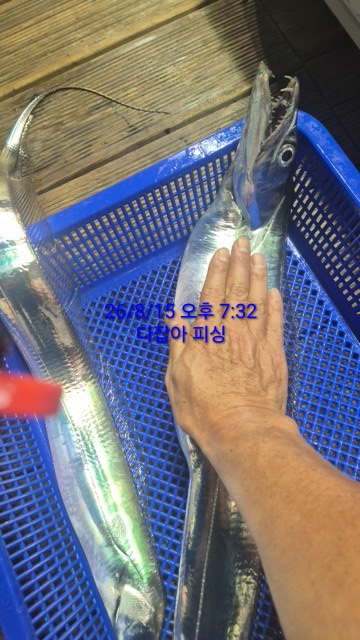 1786834299751.jpg