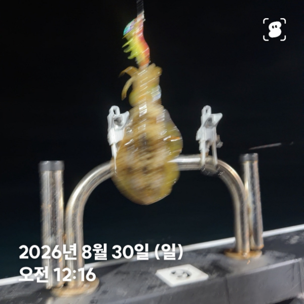 신신낚시 강구점 신신호_사진_20260830_4.jpg