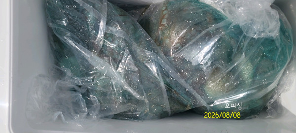 DateCamera0808094551.jpg
