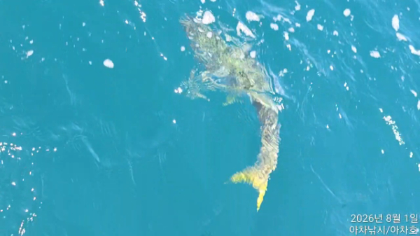 TimeVideo_20260801_103414.jpg