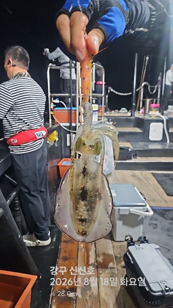 신신낚시 강구점 신신호_사진_20260819_8.jpg