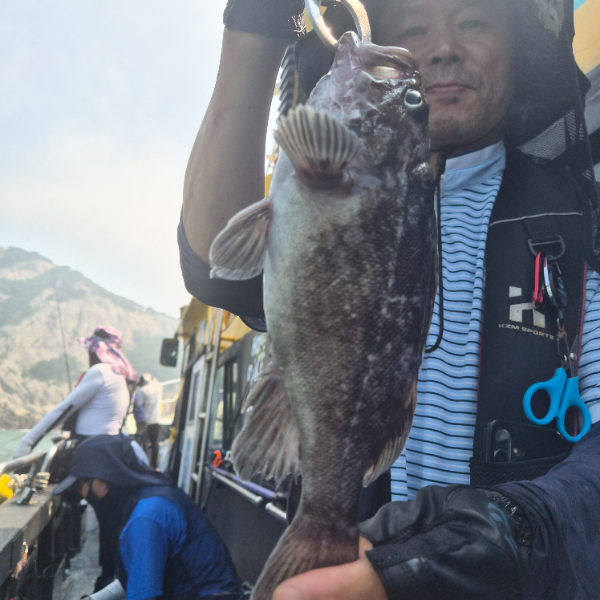 14564.jpg