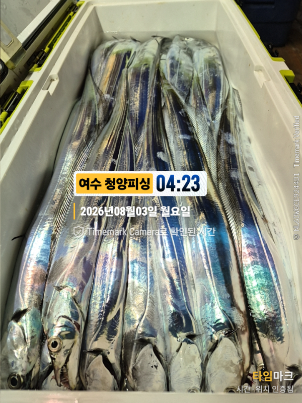 2026-08-03 04.23.58__(제목-여수 청양피싱).jpg