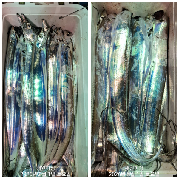 1000036071.jpg