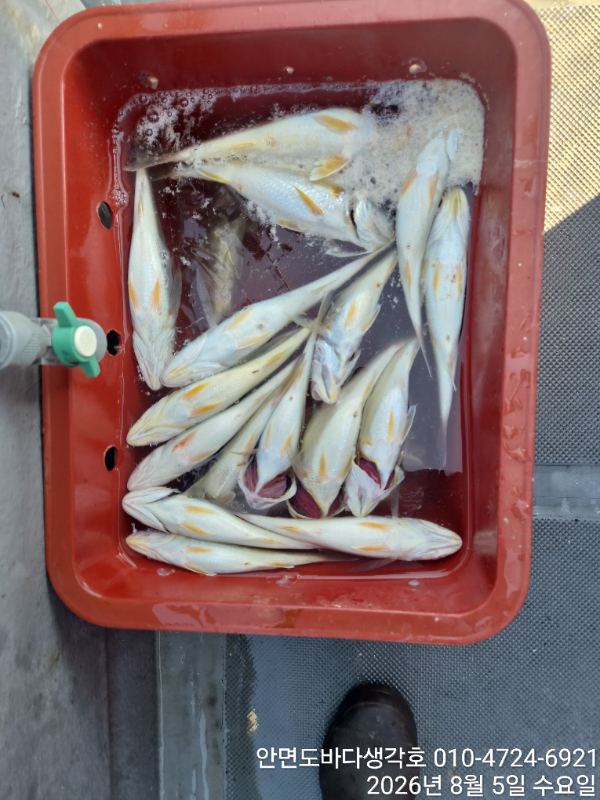 4838.jpg