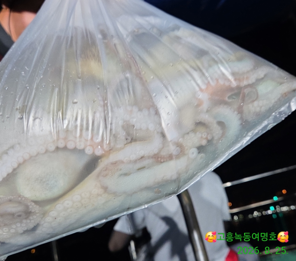 쎄븐피싱클럽(선상 버스출조전문)_사진_20260826_11.jpg