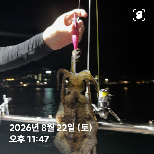 신신낚시 강구점 신신호_사진_20260823_9.jpg