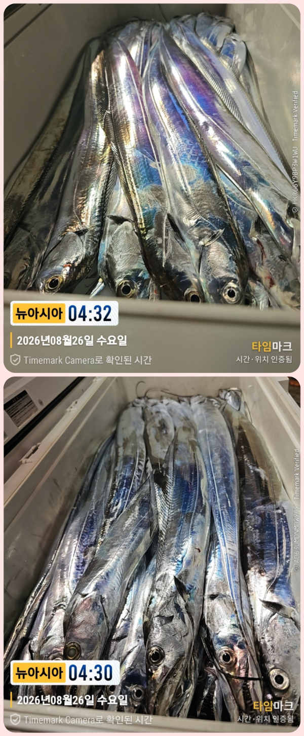 KakaoTalk_20260826_063022125_01-down.jpg