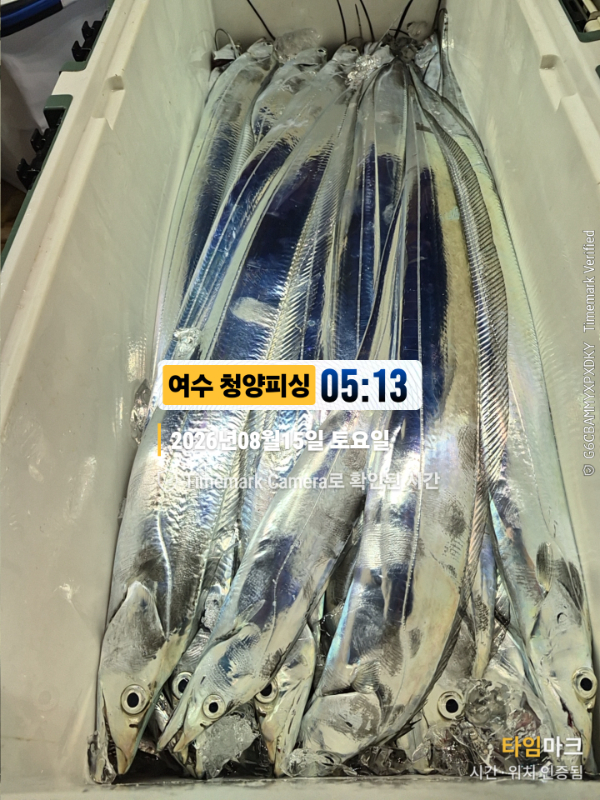 2026-08-15 05.13.09__(제목-여수 청양피싱).jpg
