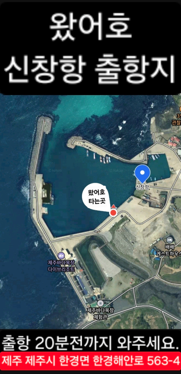 제주왔어호_사진_20260802_10.jpg