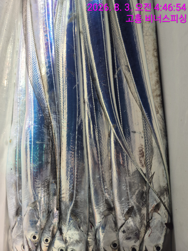 1000054571.jpg