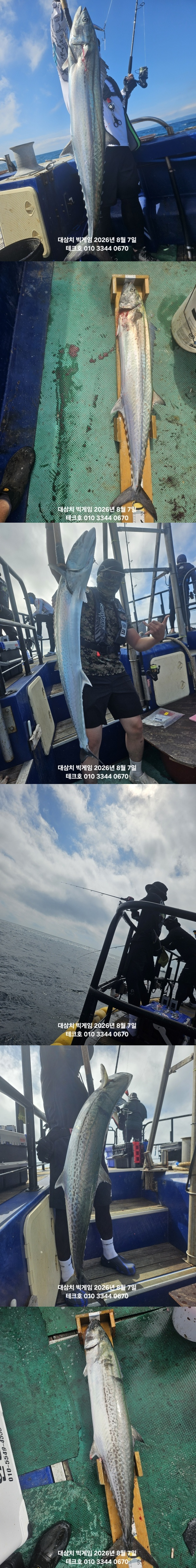 KakaoTalk_20260807_095425654-vert.jpg