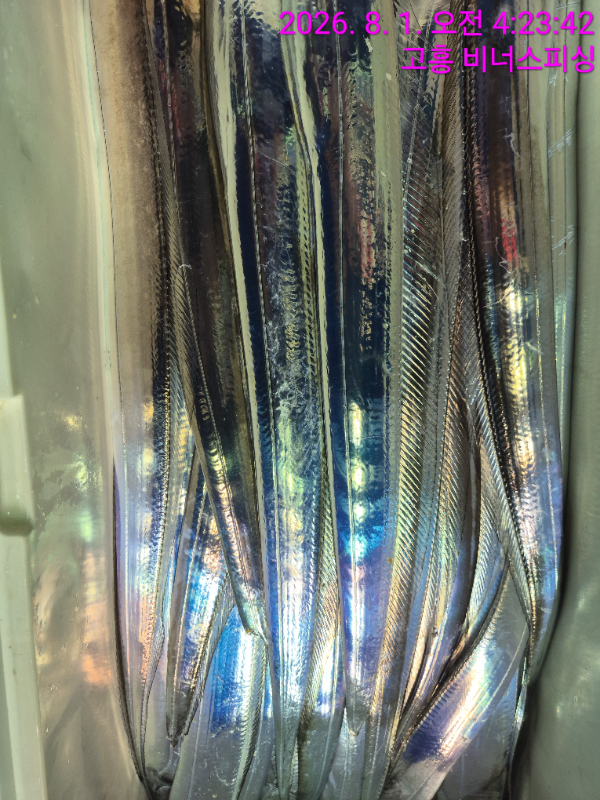 1000054473.jpg