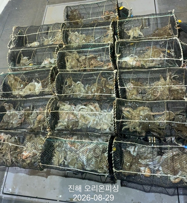 KakaoTalk_20260829_033032375_13.jpg