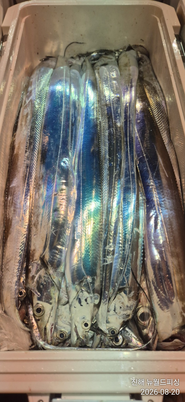 1787180230083.jpg