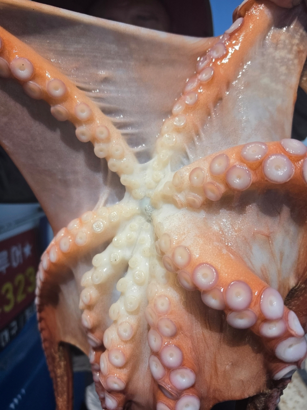 0C623E33-D6CA-4FC2-A6EF-D643E40C8BC7.jpeg