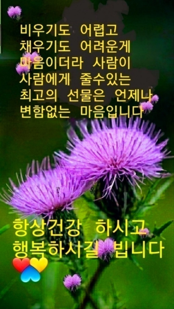 1000024485.jpg