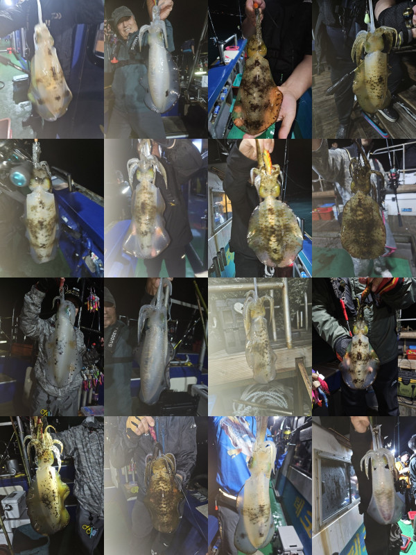 KakaoTalk_20260811_111016248_04-vert-horz.jpg