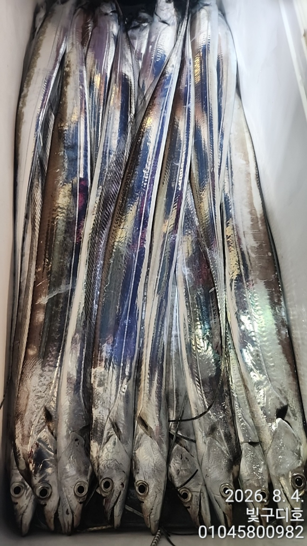 6210.jpg