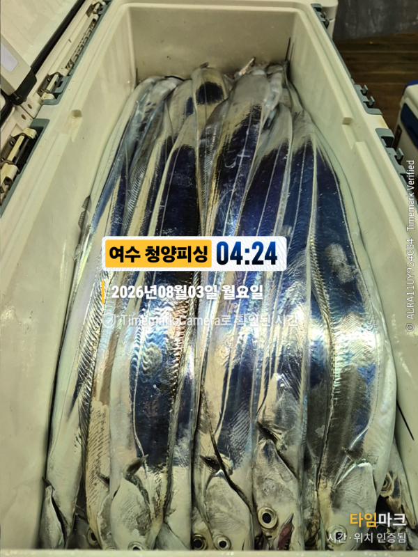 2026-08-03 04.24.29__(제목-여수 청양피싱).jpg