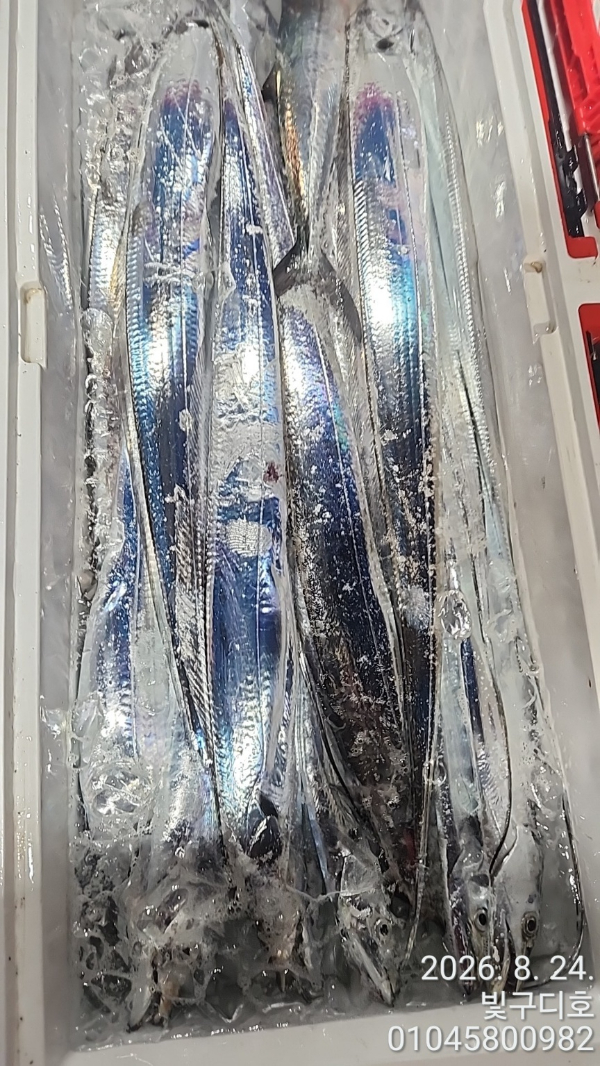 7724.jpg