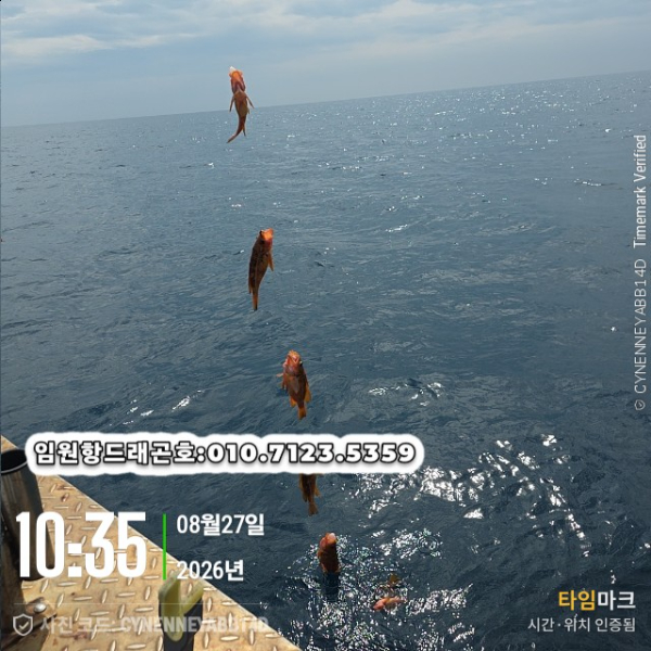 2687.jpg