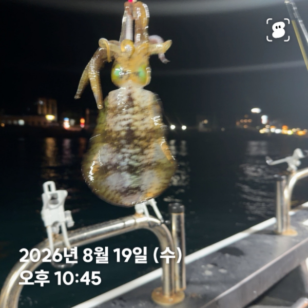 신신낚시 강구점 신신호_사진_20260820_11.jpg
