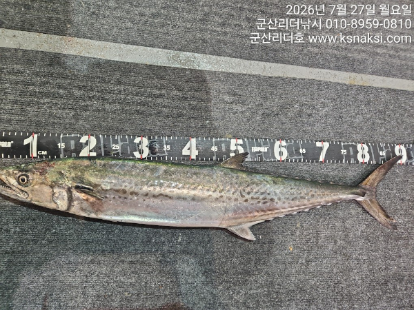 KakaoTalk_20260727_061711228_02.jpg