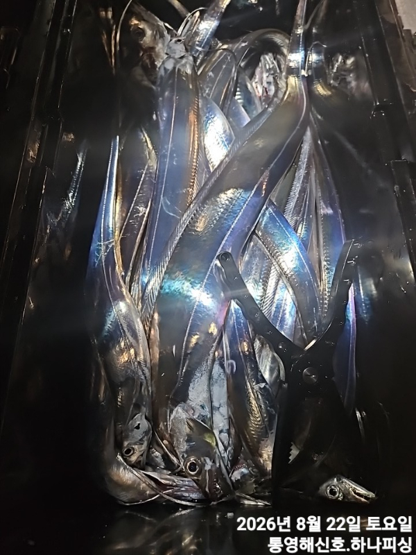 1787339055709.jpg