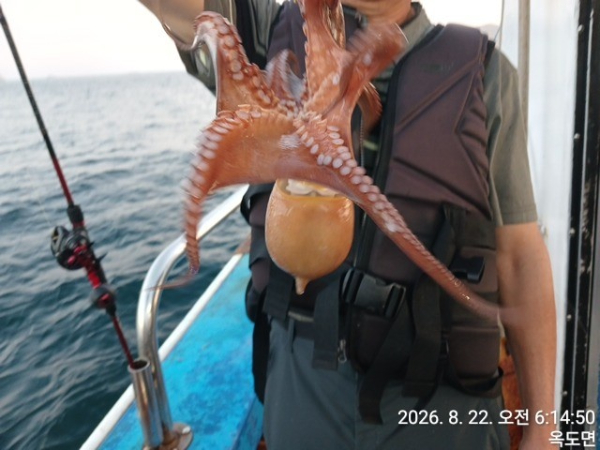 KakaoTalk_20260822_141116296_13.jpg