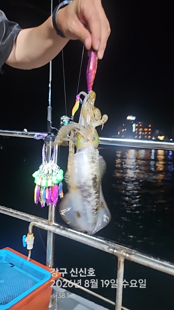 신신낚시 강구점 신신호_사진_20260820_6.jpg