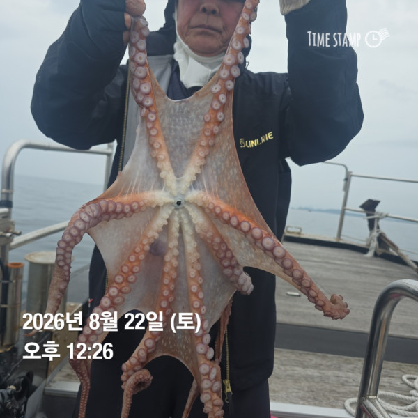 공현진낚시마트(돌핀호)_사진_20260822_10.jpg