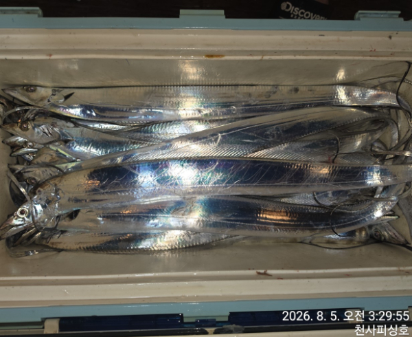 1004피싱_사진_20260805_4.jpg