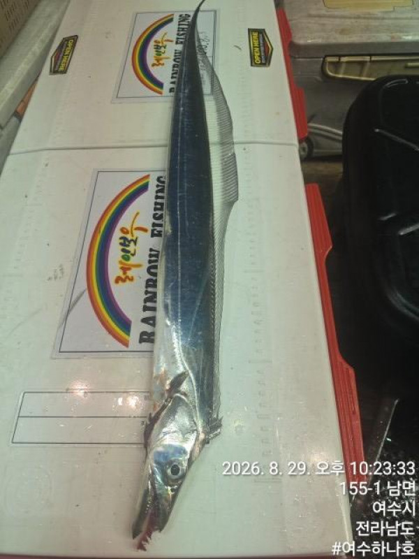 KakaoTalk_20260830_061225456_18.jpg