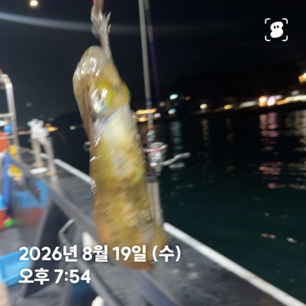 신신낚시 강구점 신신호_사진_20260820_12.jpg