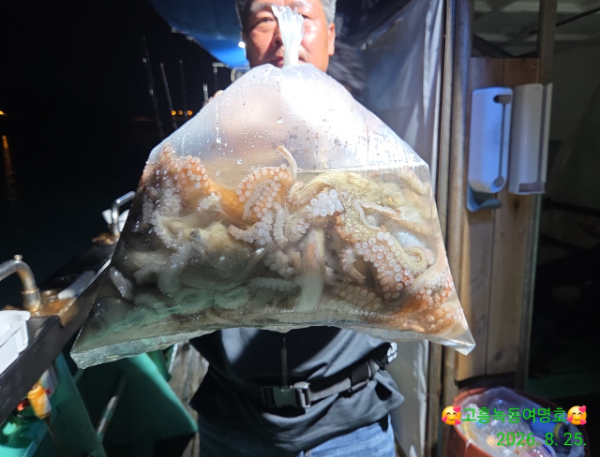 쎄븐피싱클럽(선상 버스출조전문)_사진_20260826_6.jpg