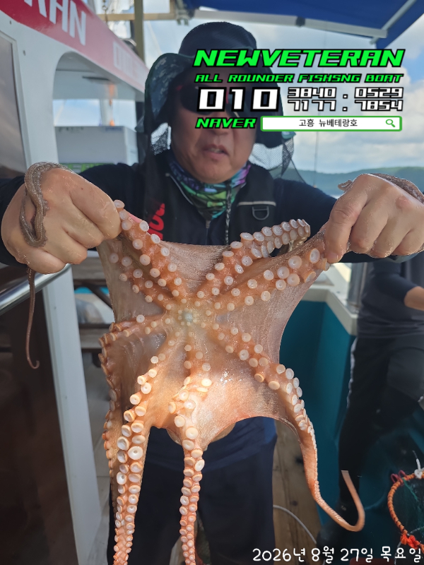 61072.jpg