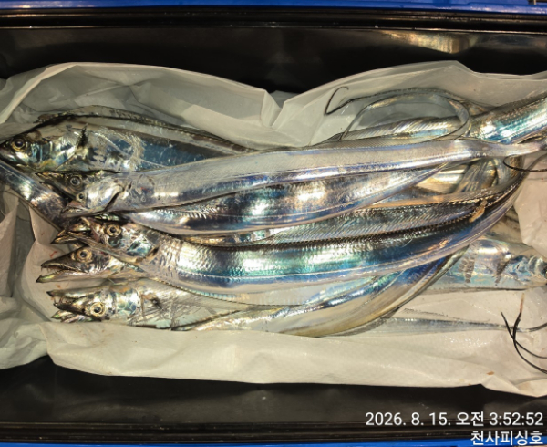 1004피싱_사진_20260815_6.jpg