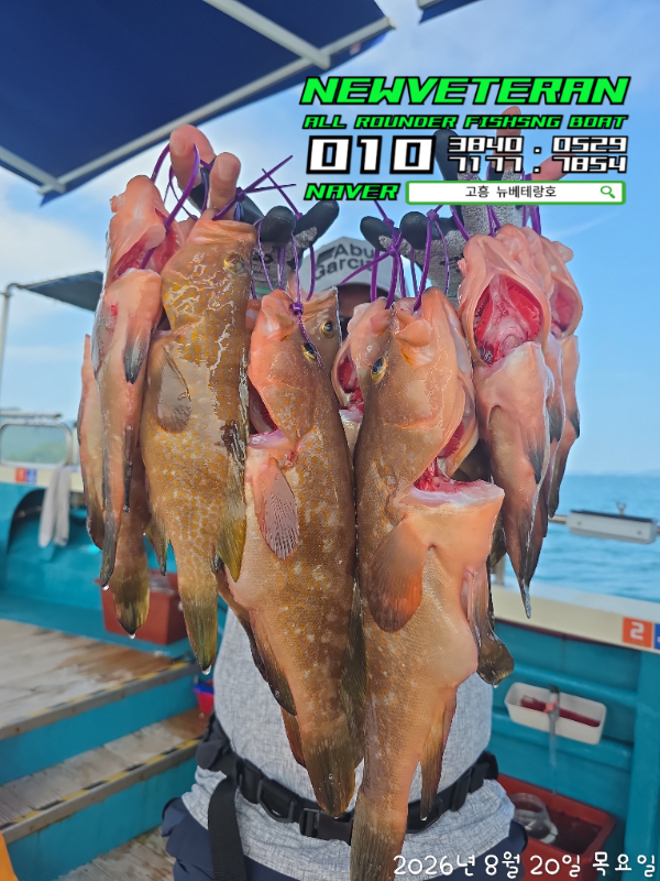 60416.jpg