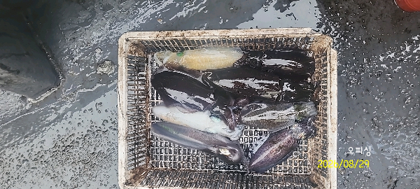 DateCamera0829085012.jpg