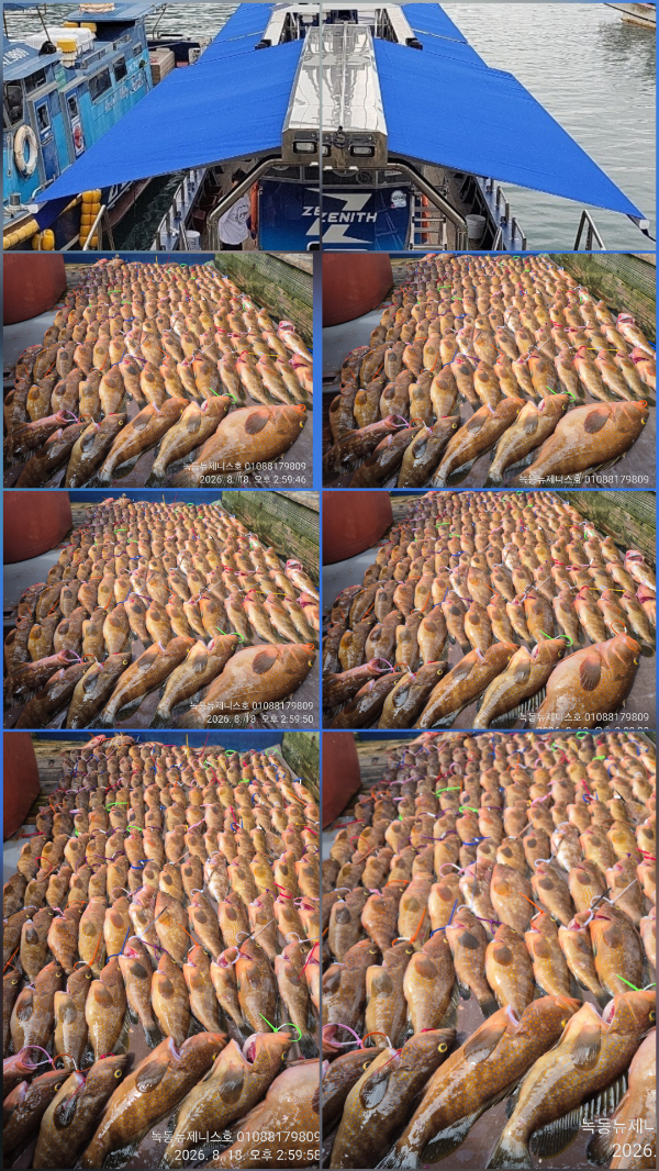30939.jpg
