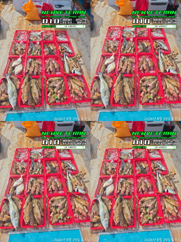 61228.jpg